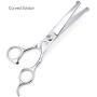 iSeaFly Dog Grooming Kit, Safety Round Tip, Heavy Duty Stainless Steel, 5 in 1 Cat Dog Grooming Scissors Set, Best Pet Grooming Shears for Full Body