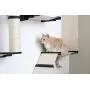 CatastrophiCreations Cat Mod Garden Complex Handcrafted Wall Mounted Cat Tree Shelves with Planter for Cat Grass, English Chestnut/Natural, One Size CatastrophiCreations Cat Mod Garden Complex Handcrafted Wall Mounted Cat Tree Shelves with Planter for Cat Grass, English Chestnut/Natural, One Size
