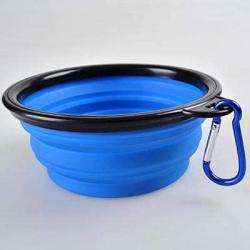Pawfect Dog Bowl