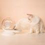 ocijf179 Pet Water Fountain 2.8L Snail Shaped Bowl Pet Cat Dog Automatic Water Dispenser Drinking Fountain - Green