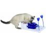 Royal Pet Club Activity