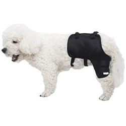 Alfie Pet - Jeron Dog Left Hind Leg Brace Paw Compression Wraps