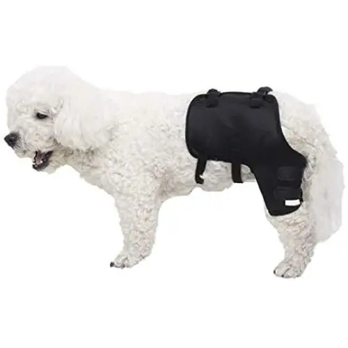 Alfie Pet - Jeron Dog Left Hind Leg Brace Paw Compression Wraps Alfie Pet - Jeron Dog Left Hind Leg Brace Paw Compression Wraps