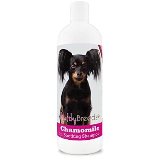 Healthy Breeds Chamomile Dog Shampoo & Conditioner with Oatmeal & Aloe for Russian Toy Terrier - OVER 200 BREEDS - 8 oz - Gentle for Dry Itchy Skin - Safe with Flea and Tick Topicals