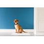Petmate Little Stinker Housebreaking Pads 6-Layer Liquid Lock Varying Multi-packs Available