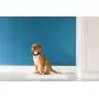 Petmate Little Stinker Housebreaking Pads 6-Layer Liquid Lock Varying Multi-packs Available Petmate Little Stinker Housebreaking Pads 6-Layer Liquid Lock Varying Multi-packs Available
