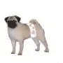 Wiki Wags Male Dog Wrap, Small - 12 Count