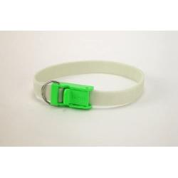 Davis FurEver Brite Glow in The Dark Pet Safety Collar, Small to Medium, Green