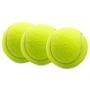 N-A Tennis Balls 3 Pcs Training Sport Play Cricket Dog Toy for Lessons, Practice, Throwing Machines & Playing with Pets
