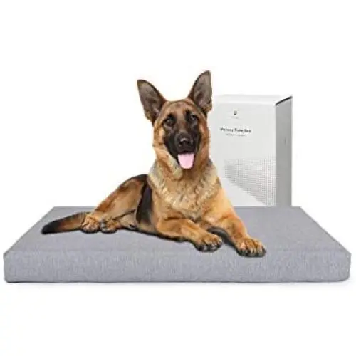 PETLIBRO Dog Bed for Crate, Memory Foam Dog Crate Bed Orthopedic Plush Mattress for Therapeutic Joint&Muscle Relief Washable Bed Cover with Waterproof Inner Lining PETLIBRO Dog Bed for Crate, Memory Foam Dog Crate Bed Orthopedic Plush Mattress for Therapeutic Joint&Muscle Relief Washable Bed Cover with Waterproof Inner Lining