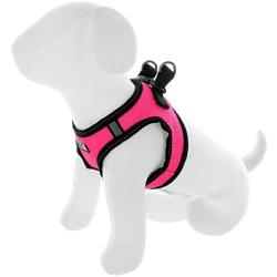 Pawtitas Pet Reflective Mesh Dog Harness, Step in or Vest Harness Dog Training Walking of Your Puppy/Dog - No More Pulling, Tugging, Choking