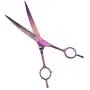 LILYS PET Professional PET Dog Grooming Titanium Scissors Set,Straight & Curved & Thinning & Chunker Scissors with 1 Grooming Comb for Dog Cat and More Pets Grooming (Purple) LILYS PET Professional PET Dog Grooming Titanium Scissors Set,Straight & Curved & Thinning & Chunker Scissors with 1 Grooming Comb for Dog Cat and More Pets Grooming (Purple)