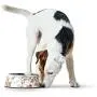 HUNTER HT65142 Large 700ml/23.7 oz Melamine Bowl Mogami HUNTER HT65142 Large 700ml/23.7 oz Melamine Bowl Mogami
