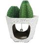 ACC Cactus Cat House & Cat Scratcher w/ Bonus Catnip included