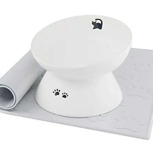 immaculife Ceramic Raised Cat Food Bowl with Anti-Slip Mat, Slanted Cat Dish, Tilt Angle Protect Cats Spine, Stress Free, Backflow Prevention immaculife Ceramic Raised Cat Food Bowl with Anti-Slip Mat, Slanted Cat Dish, Tilt Angle Protect Cats Spine, Stress Free, Backflow Prevention