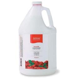 Hydrosurge Raspberry Dermasilk Cond Gallon