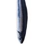 BHSHOP Two Sets Catnip Fish Toys for Cat, 20 cm Cat Toys, Cat Catnip Toys, Cat Chew Toys, Pet Toy, Simulation Saury Fish Toy, Interactive Plush Cat Toys, for Cat, Puppy, Dog
