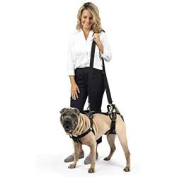 PetSafe CareLift Support Harness - Full Body Lifting Aid with Handle - Great for Pet Mobility and Older Dogs - Comfortable, Breathable Material - Easy to Adjust