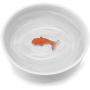Suck UK Goldfish Dog Or Cat Bowl | Novelty Food & Water Bowl | Cat Food & Dog Food Dish | Ceramic Bowl | Cat Accessories |