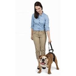 PetSafe CareLift Rear Support Harness - Lifting Aid with Handle and Shoulder Strap - Great for Pet Mobility and Older Dogs - Comfortable, Breathable Material - Easy to Adjust