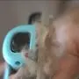 petgle Dog Brush and Cat Brush Effectively Reduces Shedding Professional Grooming Brush and Deshedding Tool for Dogs and Cats petgle Dog Brush and Cat Brush Effectively Reduces Shedding Professional Grooming Brush and Deshedding Tool for Dogs and Cats