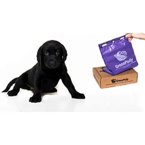 GreenPolly Pet Waste and Dog Poop Bags, Purple, 250 Count