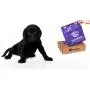 GreenPolly Pet Waste and Dog Poop Bags, Purple, 250 Count