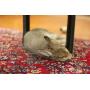 Cord Protector - CritterCord - A New Way to Protect Your Pet from Chewing Hazardous Cords