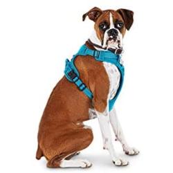 Good2Go Blue Front Walking Dog Harness, Large