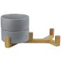 LIONWEI LIONWELI Ceramic Cat Bowl with Wood Stand No Spill Pet Food Water Feeder Cats Small Dogs