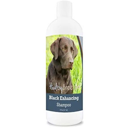 Healthy Breeds Black Coat Color Enhancement Shampoo for Black or Darker Color Fur with Aloe and Vitamin E 8oz