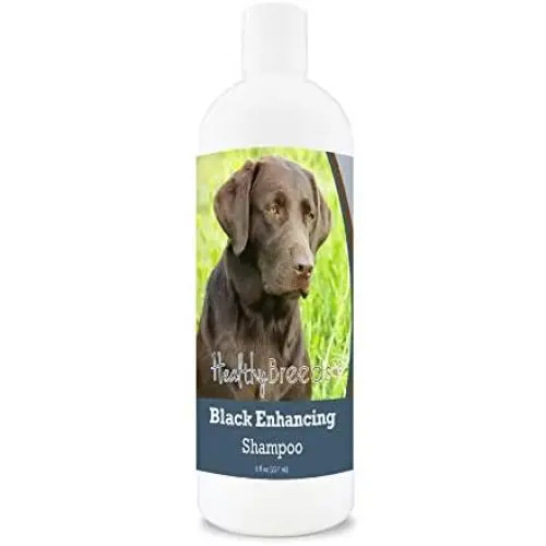 Healthy Breeds Black Coat Color Enhancement Shampoo for Black or Darker Color Fur with Aloe and Vitamin E 8oz Healthy Breeds Black Coat Color Enhancement Shampoo for Black or Darker Color Fur with Aloe and Vitamin E 8oz