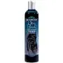 Bio-groom Ultra Black Color Enhancing Pet Shampoo, Available in 2 Sizes Bio-groom Ultra Black Color Enhancing Pet Shampoo, Available in 2 Sizes