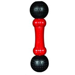 Spunky Pup Fetch and Chew Dog Toy Bone