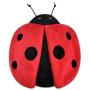 P.L.A.Y. - Bugging Out Toy Collection Lola The Ladybug with Squeaker Pet Toy