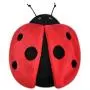 P.L.A.Y. - Bugging Out Toy Collection Lola The Ladybug with Squeaker Pet Toy
