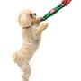 Pets First NCAA Football Field Dog Toy with Squeaker. - Nebraska Cornhuskers - for Tug, Toss, and Fetch. - Tough & Durable PET Toy