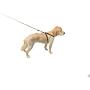 Downtown Pet Supply Premium Pet Dog Harness and Safety Seatbelt Car Restraint, Color Black, Suitable for Small Dogs