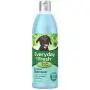 PetAg Fresh n Clean Everyday Fresh Itch Relief Shampoo, 16 oz PetAg Fresh n Clean Everyday Fresh Itch Relief Shampoo, 16 oz