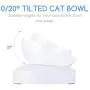 Raised Pet Feeding Bowls for Cats and Small Dogs - Food Grade Material 20° Tilted Elevated Dog Cat Food and Water Bowls Stand Feeder Dish with Anti Slip Feet Raised Pet Feeding Bowls for Cats and Small Dogs - Food Grade Material 20° Tilted Elevated Dog Cat Food and Water Bowls Stand Feeder Dish with Anti Slip Feet