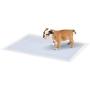IRIS USA Neat n Dry Premium Pet Training Pads, Regular