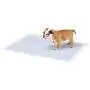IRIS USA Neat n Dry Premium Pet Training Pads, Regular IRIS USA Neat n Dry Premium Pet Training Pads, Regular