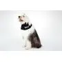 The New Wipe It! by All Four Paws The New Wipe It! by All Four Paws