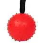 XIHONGSHIR Dog Rubber Balls Chew Toy, Dog Toy Balls with Rope, Pet Healthy and IQ Balls, Environmental Soft Rubber Non Toxic, Teeth Cleaning, Purple (2 Pack),Red,5cm XIHONGSHIR Dog Rubber Balls Chew Toy, Dog Toy Balls with Rope, Pet Healthy and IQ Balls, Environmental Soft Rubber Non Toxic, Teeth Cleaning, Purple (2 Pack),Red,5cm