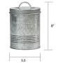 Amici Pet, , Retro Treats Galvanized Relief Lettering Metal Storage Canister, Food Safe, Push Top, 72 Ounces