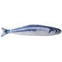 BHSHOP Two Sets Catnip Fish Toys for Cat, 20 cm Cat Toys, Cat Catnip Toys, Cat Chew Toys, Pet Toy, Simulation Saury Fish Toy, Interactive Plush Cat Toys, for Cat, Puppy, Dog