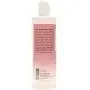 Davis KetoHexidine Shampoo Pets, 12 oz Davis KetoHexidine Shampoo Pets, 12 oz