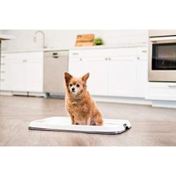 IRIS USA Puppy and Dog Training Pet Pad Holder
