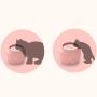 CHZHENG Automatic Pet Feeder, Cat Fountain Drinking Drinking Fountain 2.5l Automatic Drinker Water Bowl Pet Dog Cats Electric USB Dispens,C