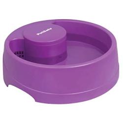 PetSafe Current Pet Water Fountain, Circulating Drinking Fountain for Cats and Dogs, Large, Purple, 120 oz. Water Capacity